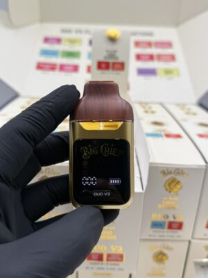 big chief duo v3 disposable