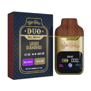 big chief duo 2 gram disposable