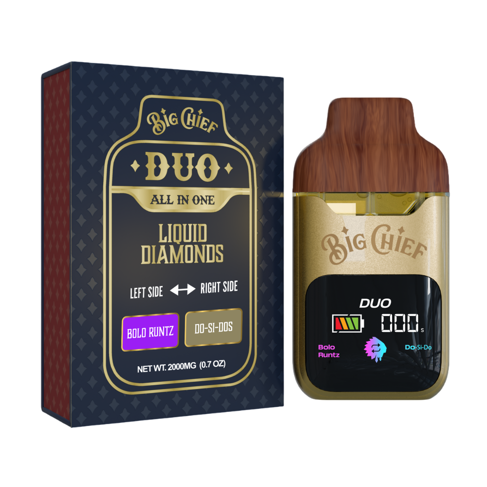 big chief duo 2 gram disposable